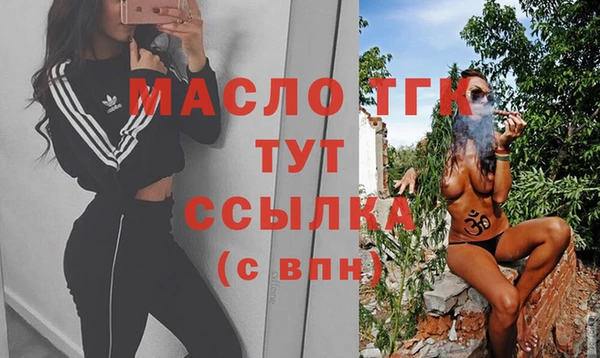 шишки Коряжма