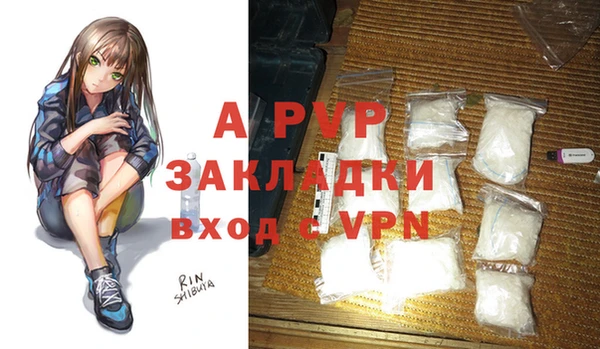 ГАЛЛЮЦИНОГЕННЫЕ ГРИБЫ Дубовка