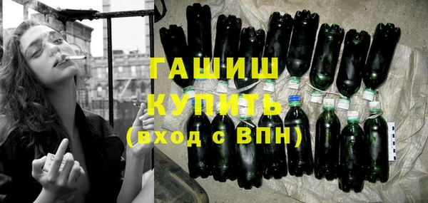 шишки Коряжма