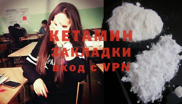 шишки Коряжма