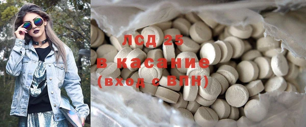 шишки Коряжма