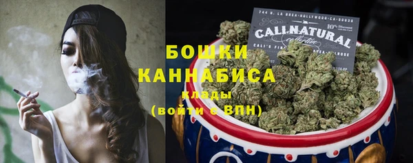 прущие грибы Красноперекопск