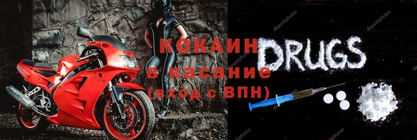 шишки Коряжма