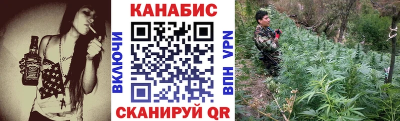 где можно купить наркотик  OMG tor  Марихуана White Widow  Кораблино 